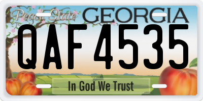 GA license plate QAF4535