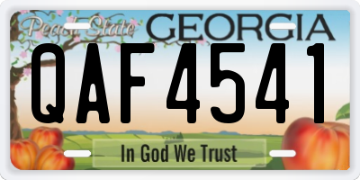 GA license plate QAF4541