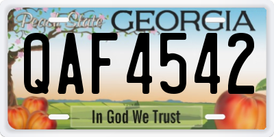 GA license plate QAF4542