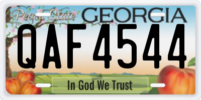 GA license plate QAF4544