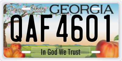 GA license plate QAF4601