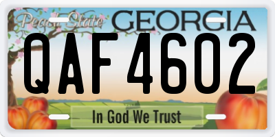 GA license plate QAF4602