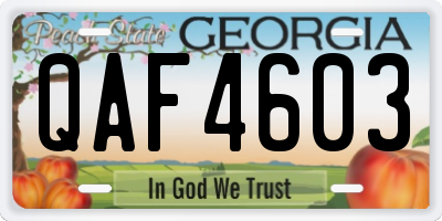 GA license plate QAF4603