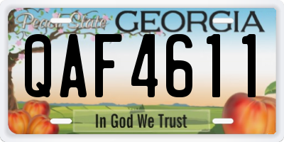 GA license plate QAF4611