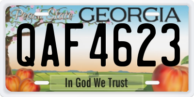 GA license plate QAF4623
