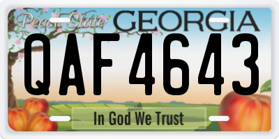 GA license plate QAF4643