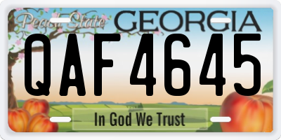 GA license plate QAF4645