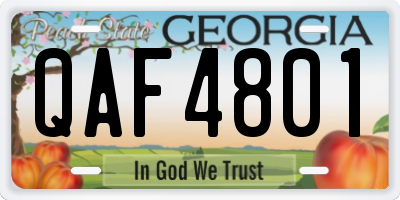 GA license plate QAF4801
