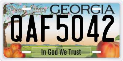 GA license plate QAF5042