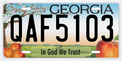 GA license plate QAF5103