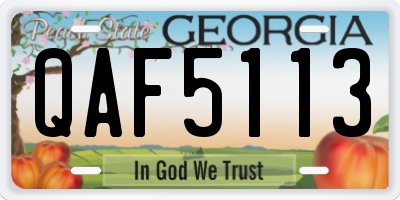 GA license plate QAF5113