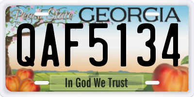 GA license plate QAF5134