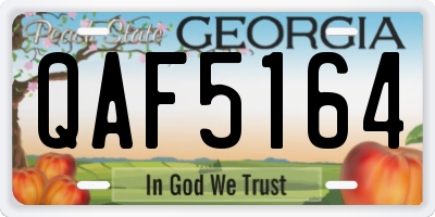 GA license plate QAF5164