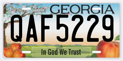 GA license plate QAF5229