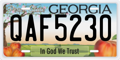 GA license plate QAF5230