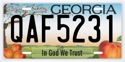 GA license plate QAF5231