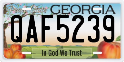 GA license plate QAF5239