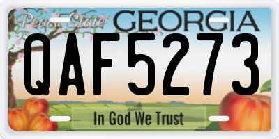 GA license plate QAF5273