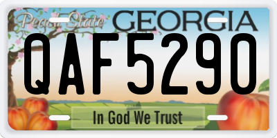 GA license plate QAF5290