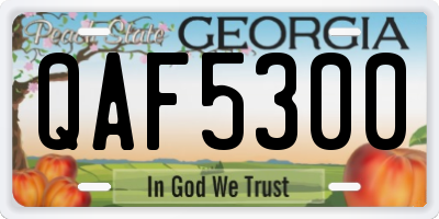 GA license plate QAF5300