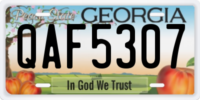 GA license plate QAF5307