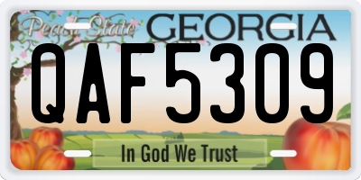 GA license plate QAF5309
