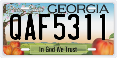 GA license plate QAF5311