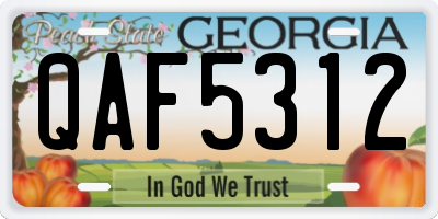 GA license plate QAF5312