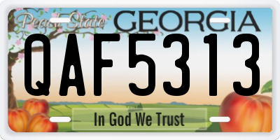 GA license plate QAF5313
