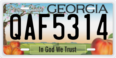GA license plate QAF5314