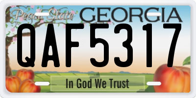 GA license plate QAF5317