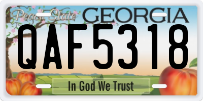 GA license plate QAF5318