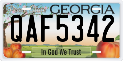 GA license plate QAF5342