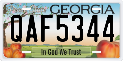GA license plate QAF5344