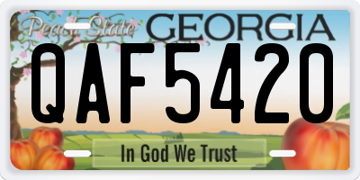 GA license plate QAF5420