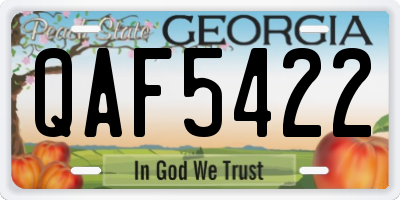 GA license plate QAF5422