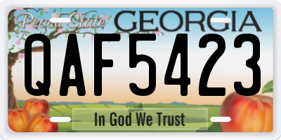 GA license plate QAF5423