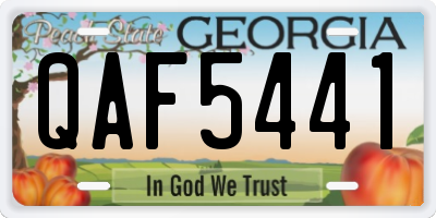 GA license plate QAF5441