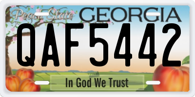 GA license plate QAF5442