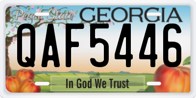 GA license plate QAF5446