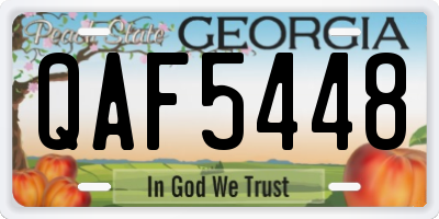GA license plate QAF5448