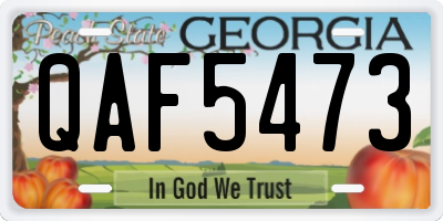 GA license plate QAF5473