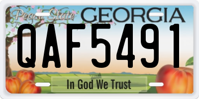 GA license plate QAF5491