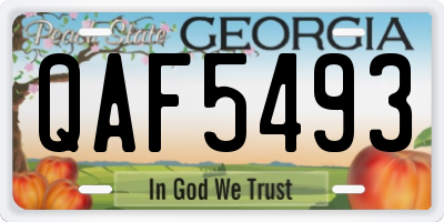 GA license plate QAF5493