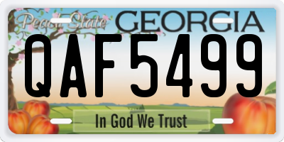 GA license plate QAF5499