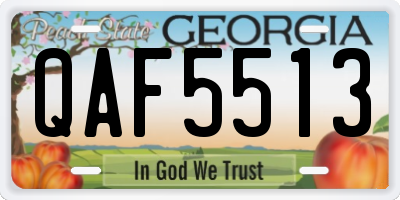 GA license plate QAF5513