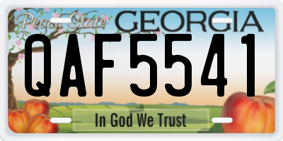 GA license plate QAF5541