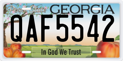 GA license plate QAF5542
