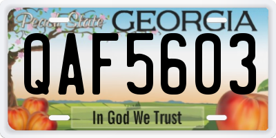 GA license plate QAF5603