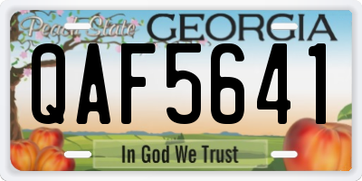 GA license plate QAF5641